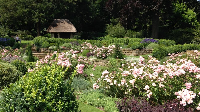 The Sunken Garden at West Dean in July