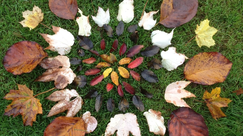 Land art using natural materials with Dan Lobb, 14–16 August