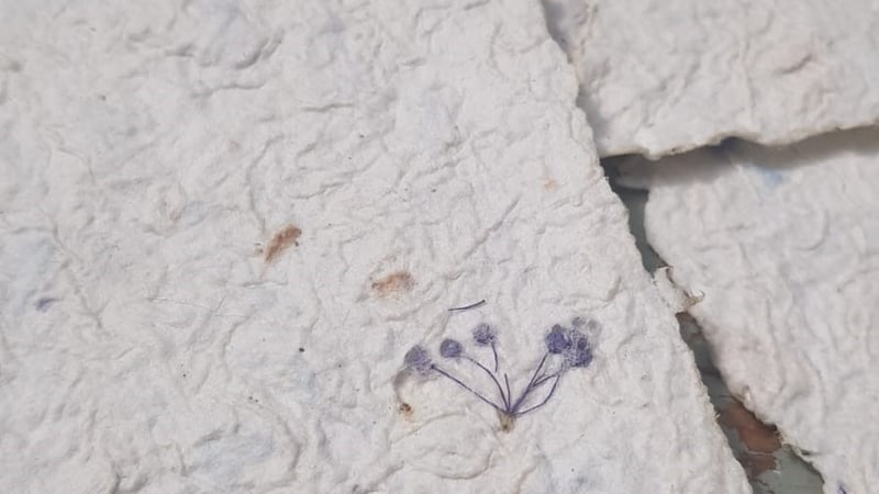 Fig 6. More paper samples.