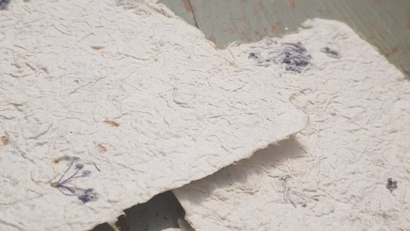 Fig 7. Variations of paper samples.