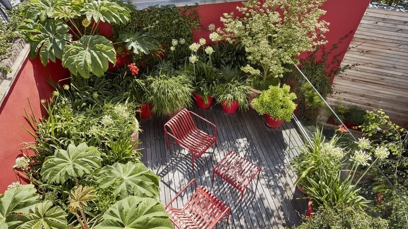 Garden Design- Adolfo Harrison 