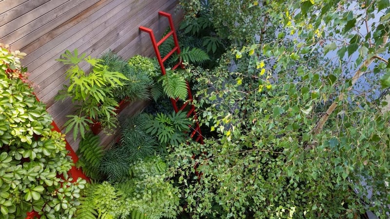 Garden Design- Adolfo Harrison 