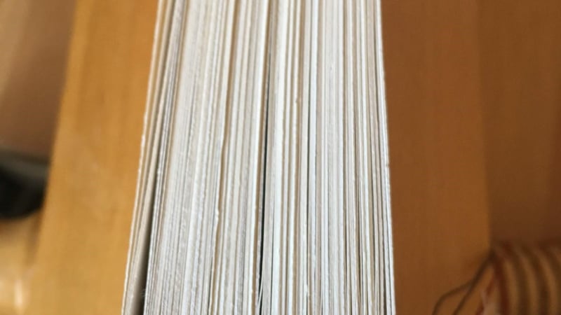 Figure 6: Adaptation of an Armenian endband with one primary and three secondary endbands creating a chevron pattern