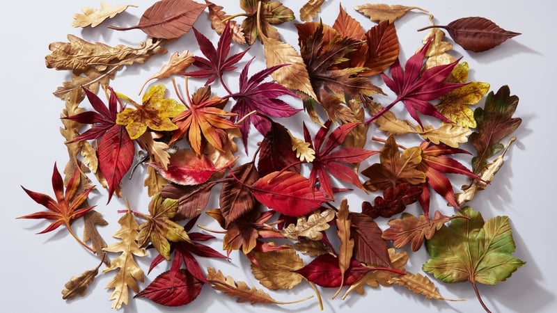 Anne Tomlin - Millinery silk flower making autumn leaves and berries