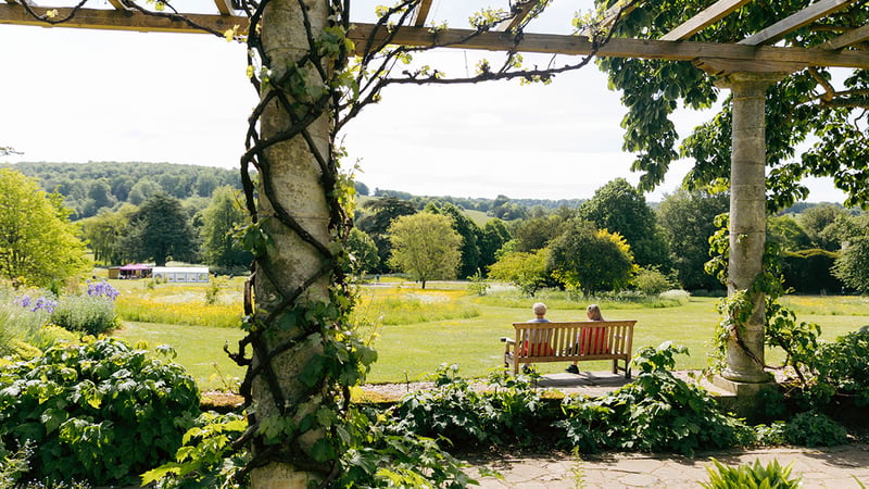Edwardian Pergola with Vines and Look Out Point of Grounds