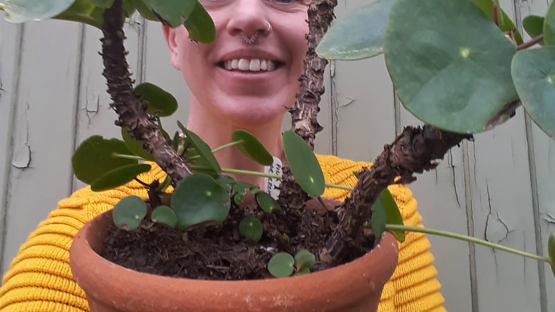Kelly Dyer, Glasshouse Gardener. Pictured holding a 'Pilea peperomioides'.