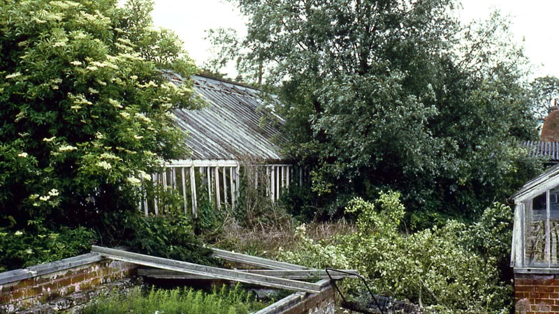 West Dean Victorian glasshouses circa 1991