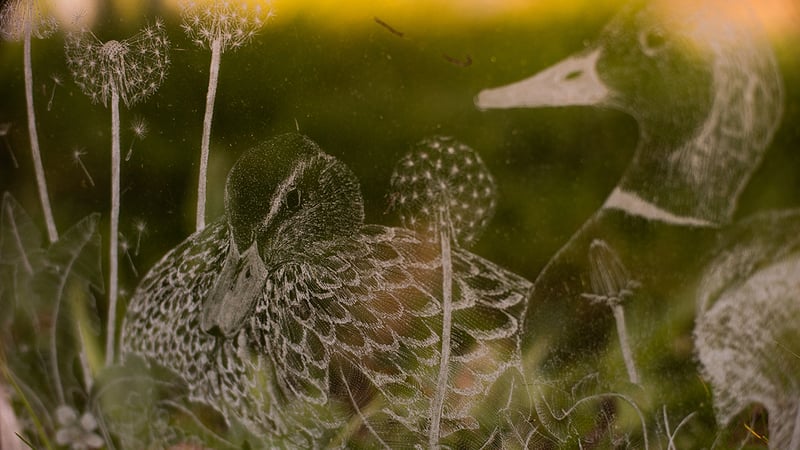 Etched greenhouse glass by Phoebe Connolly. (Photo by Georjie Adams)