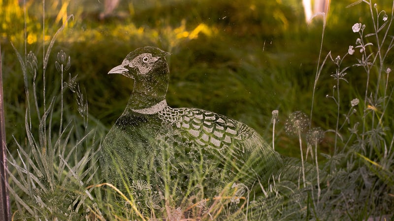 Etched greenhouse glass by Phoebe Connolly. (Photo by Georjie Adams)