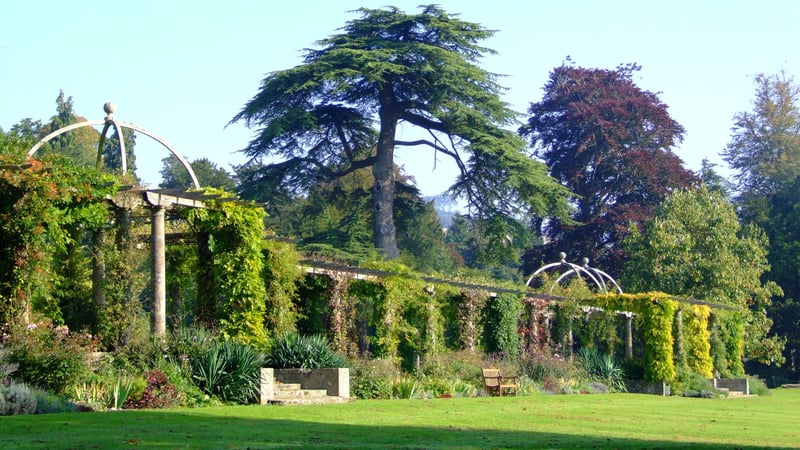 Edwardian Pergola, West Dean Gardens