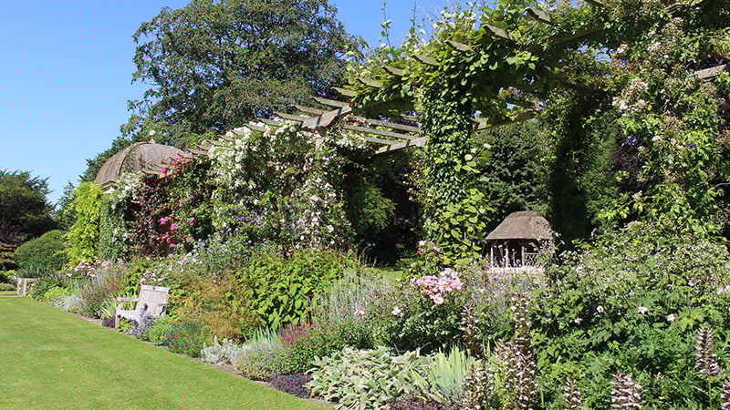West Dean Gardens 100m Pergola