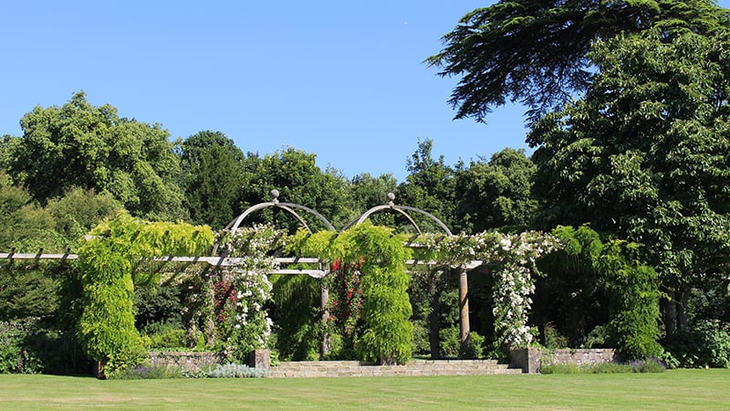 West Dean Gardens 100m Pergola