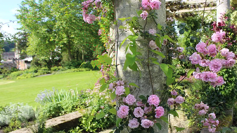 West Dean Gardens 100m Pergola