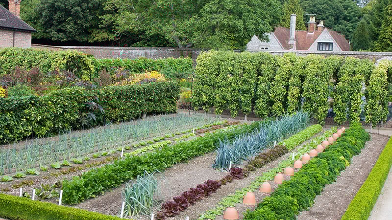 Walled Kitchen Garden at West Dean Gardens West Sussex
