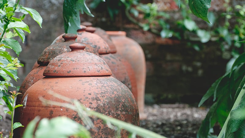 Terracotta pots in the Kitchen Garden at West Dean Gardens