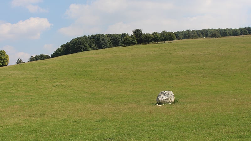 The stone in the field on the walk to the Arboretum at West Dean