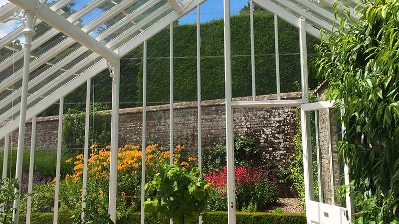 West Dean Gardens glasshouses