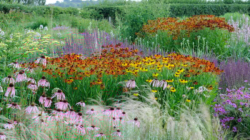 Jason Ingram Oudolf Gardens - Credit Jason Ingram