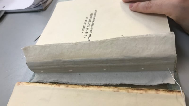 Figure 2: Practical Projects - tacketing the spine lining of my first conservation project.
