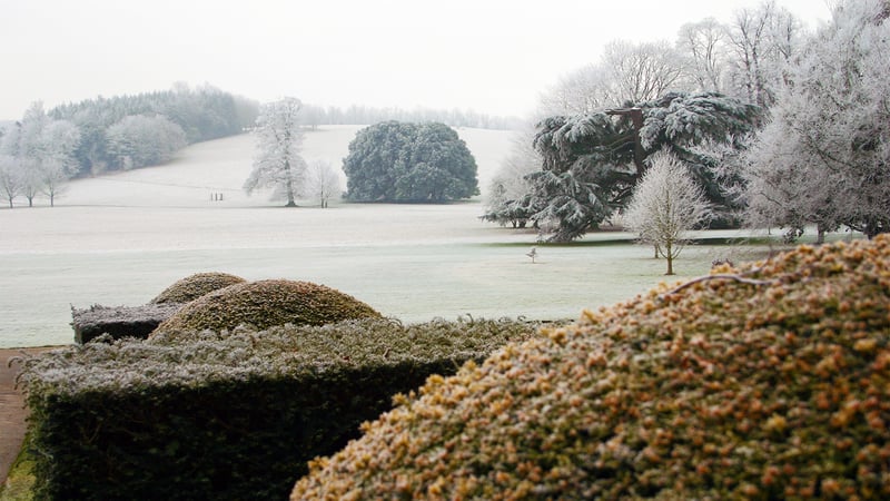 Winter at West Dean Gardens