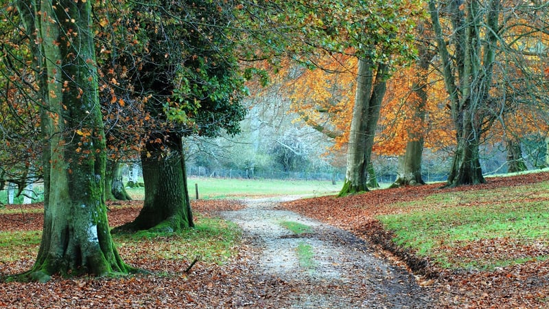 Wrap up warm and wear some stout boots for a good 2.5 mile hike through the arboretum