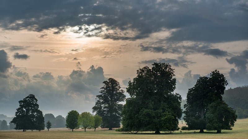 Digital photography – the essentials with Roy Matthews 