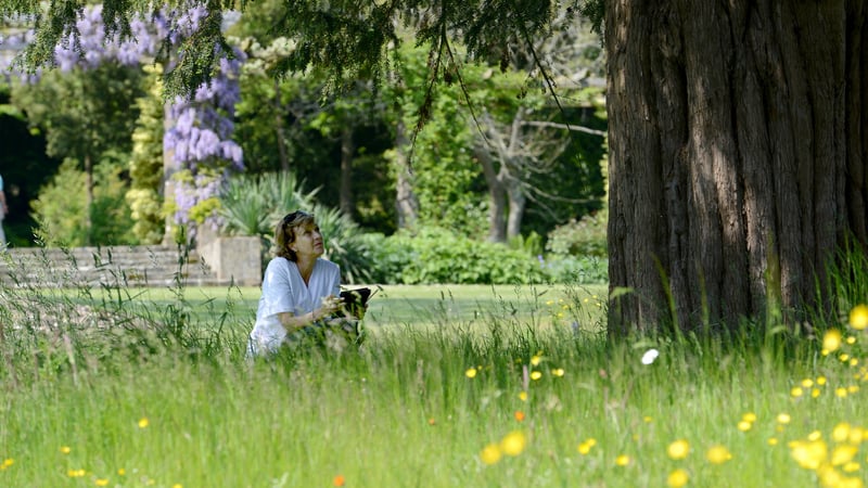 A woman sits among the meadow and grass while working on her ipad