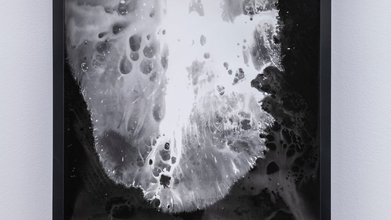 Gabriele Beveridge 'Cosmetic Universals Choke I' Seventeen Gallery 2018. Beveridge made the photograms for her solo exhibition 'Live Dead World' during her residency in 2017.