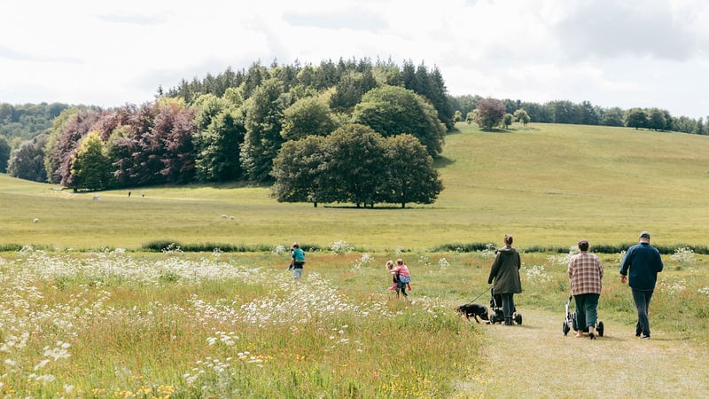 Garden Explorer Trail Summer Activities West Dean Gardens