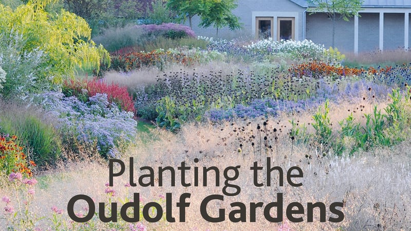 Planting the Oudolf Gardens book cover, Rory Dusoir