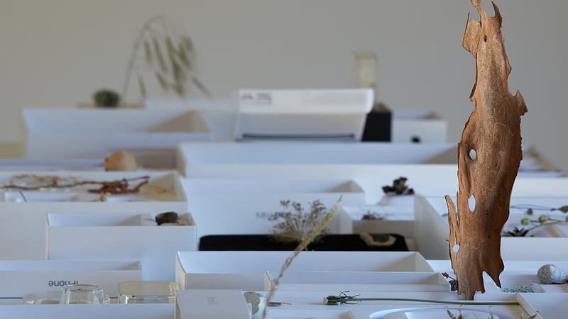 Jackie Aimes Summer Show 2022