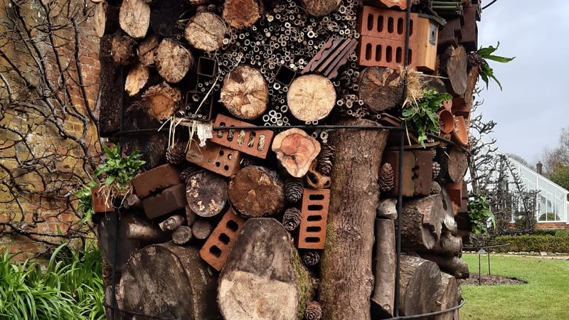  Bug Hotel © Chantal Rich, West Dean Gardens Trainee Horticulturalist