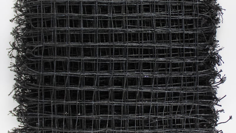 Susan Evans – Gradual Loss of Focus (2017)