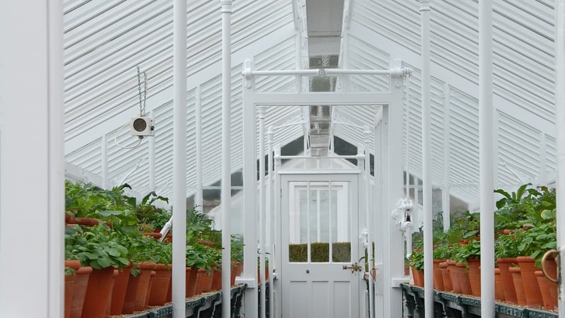 Victorian glasshouse at West Dean West Sussex