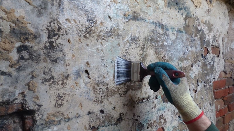 DURING - Application: graffiti removal from historic plaster using proprietary gel