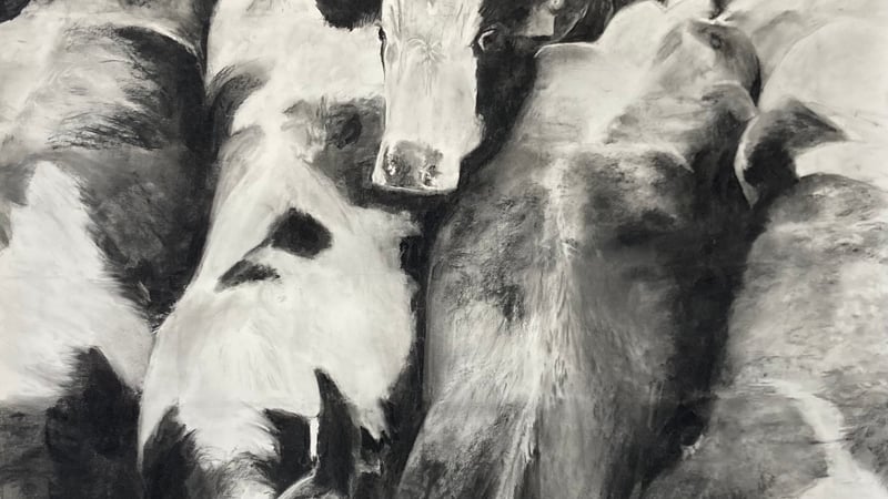 Weighted Blanket by Philippa Clarke. Willow Charcoal on Fabriano Paper. 150 cm x 200 cm 
