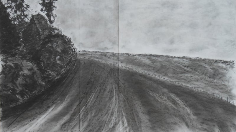 An artwork by Joanna Biggs called Swept Away