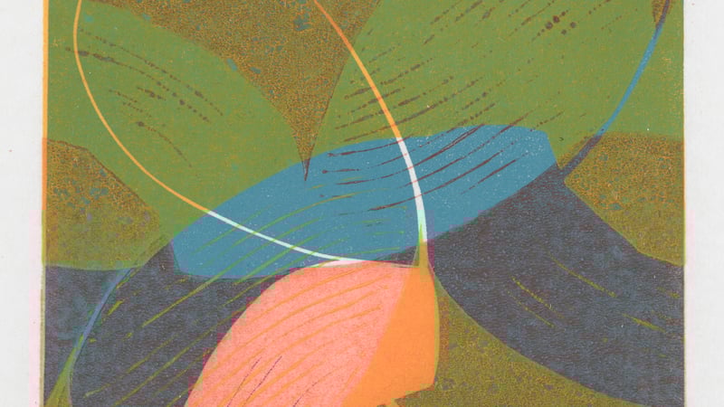 'Tulip Loop', by Tristan Sherwood