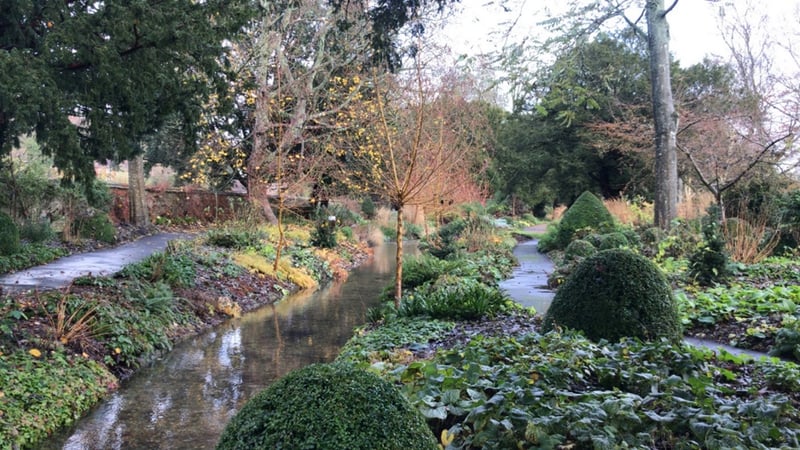 Figure 6: West Dean Gardens.