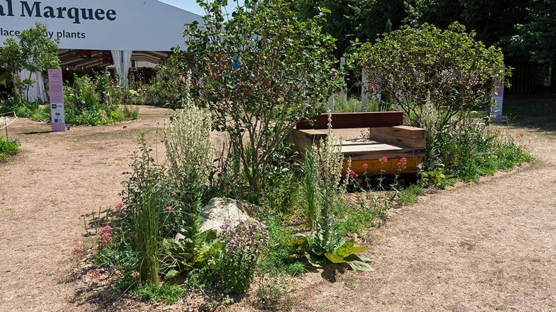 Helen Hayley, pocket garden at RHS 'Before the Concrete Sets'