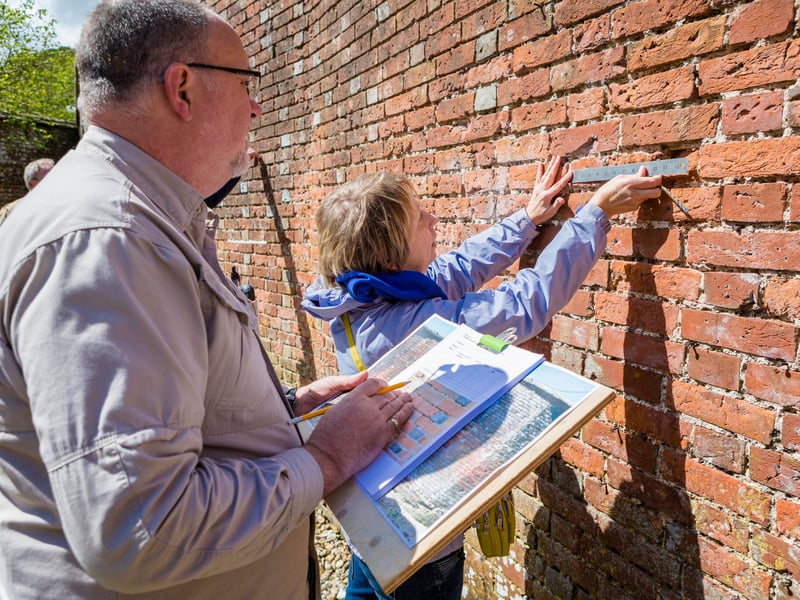 CPD - Brick and Flint Masonry