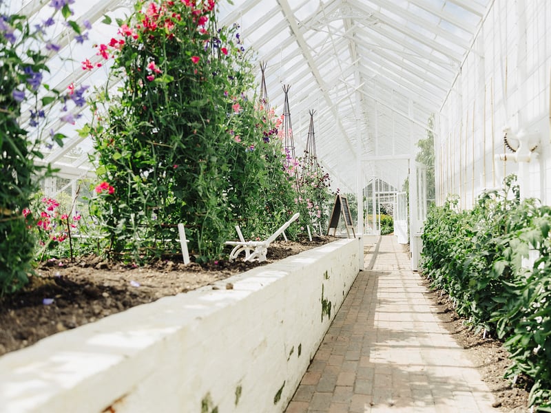 Donate to Support West Dean Gardens