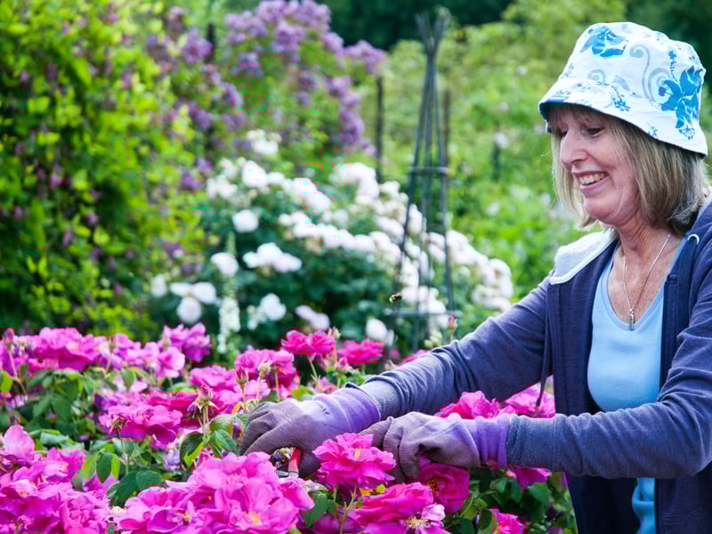 Volunteer at West Dean College and Gardens