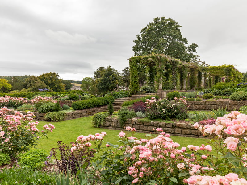Engagement photoshoot at West Dean Gardens