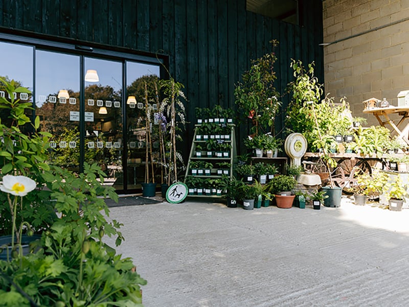 West Deans Gardens Plant Nursery