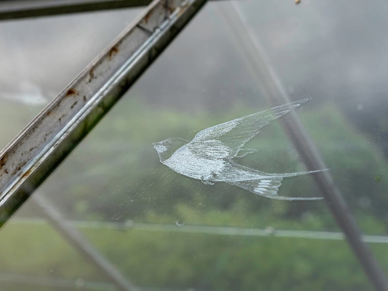 Phoebe Connolly Degree Show 2019