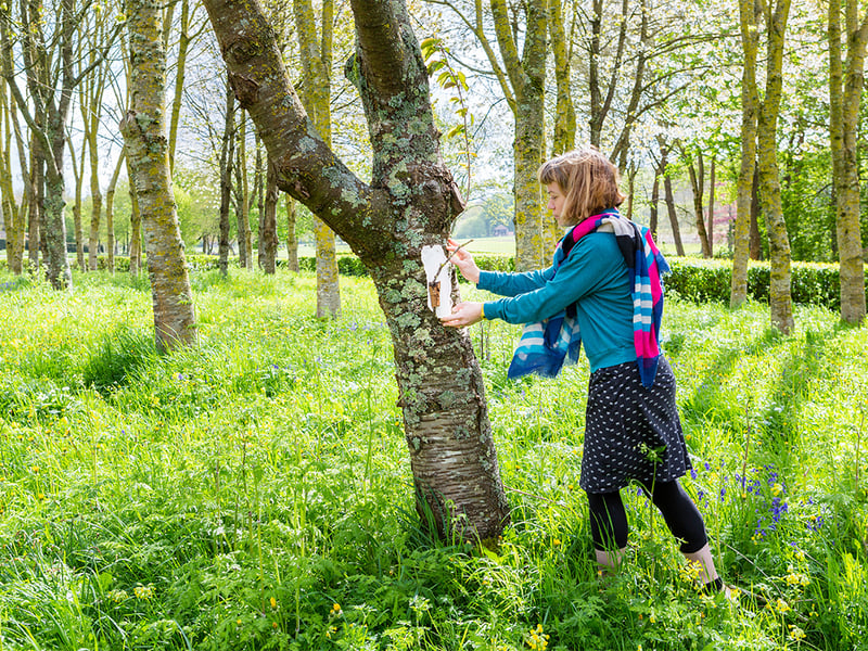 Art Contemporary Craft