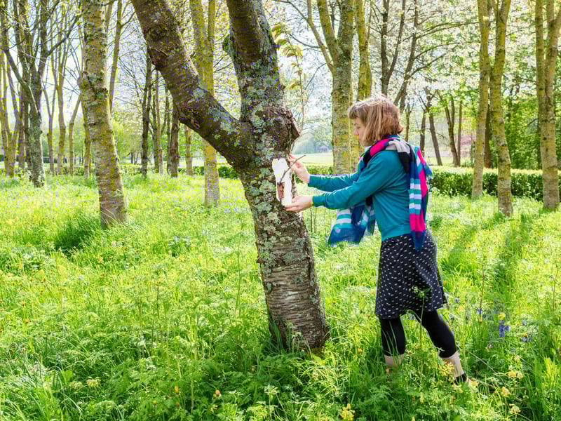 Further study options for art craft and design short courses