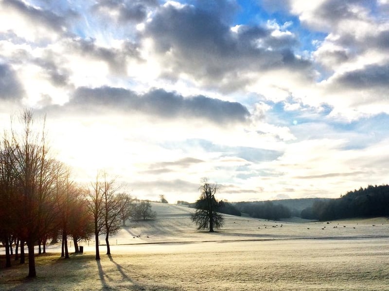 View of the West Dean fornt lawn in snow