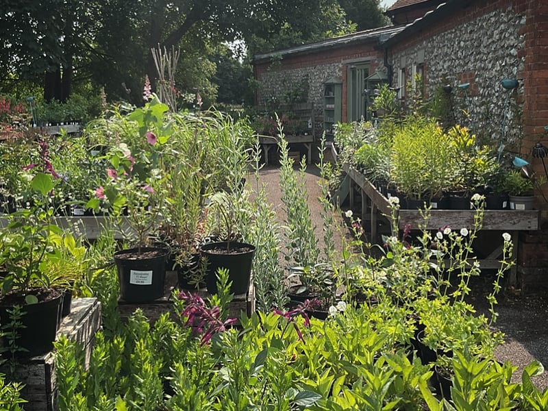 West Dean Nursery, West Dean Gardens